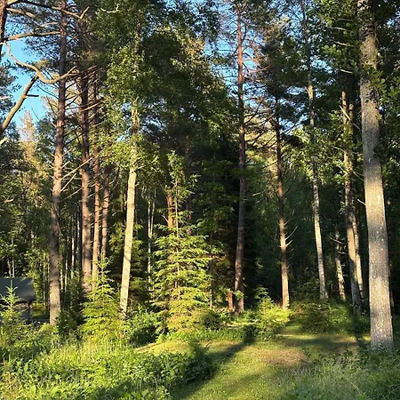 Nyaraló Viinapeedu Farm Home, Korgessaare, Hiiumaa Jõeranna