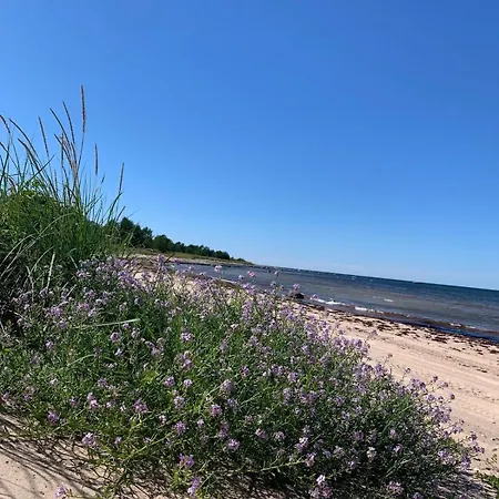 Viinapeedu Farm Home, Korgessaare, Hiiumaa بيت للعطل *